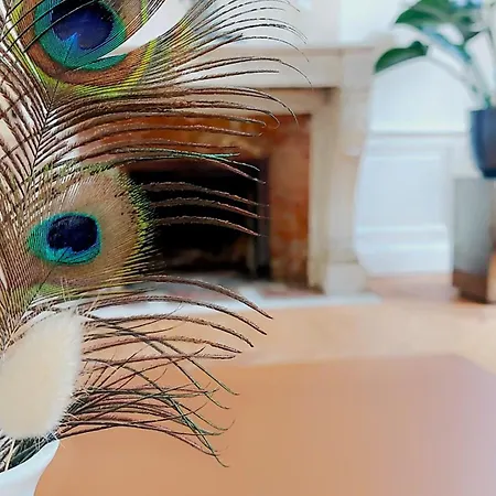 La Demeure Saint Sauveur Кан