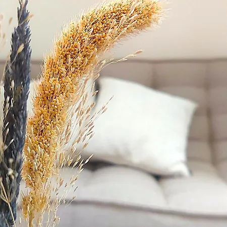 La Demeure Saint Sauveur Кан