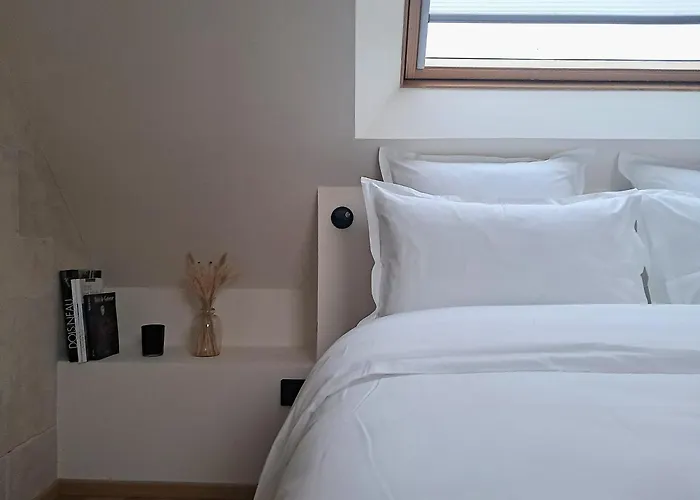 La Demeure Saint Sauveur 住宿加早餐酒店 3*